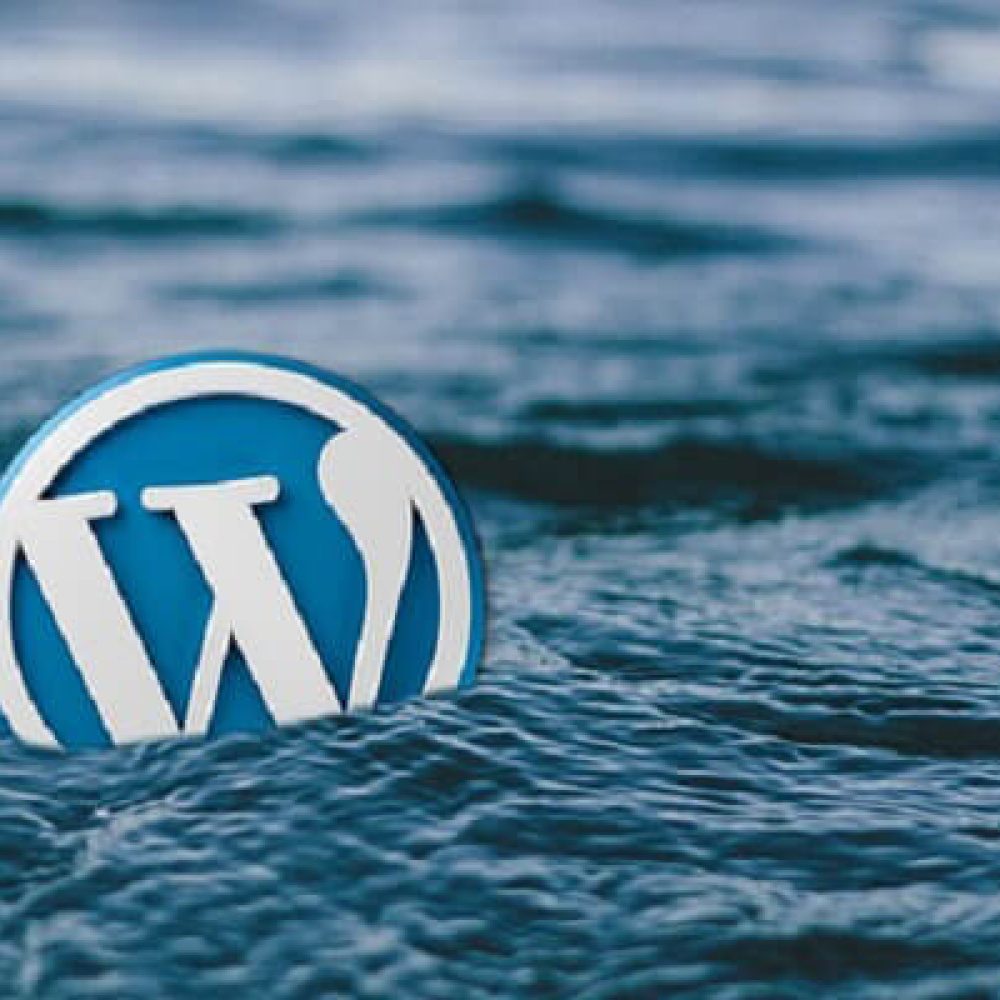 Wordpress SEO